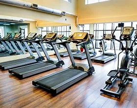 Gymnasium